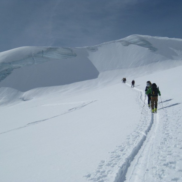 Pieles de foca Esquí de montaña.