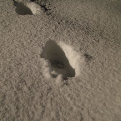 Botas para de alta montaña: Cómo elegir