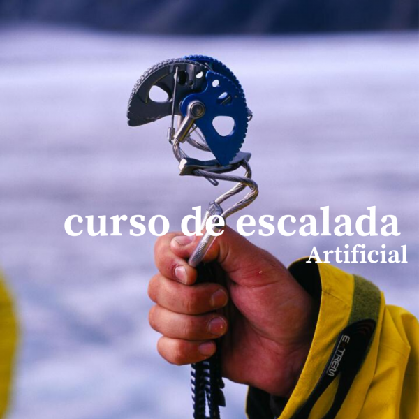  Curso de Escalada Artificial