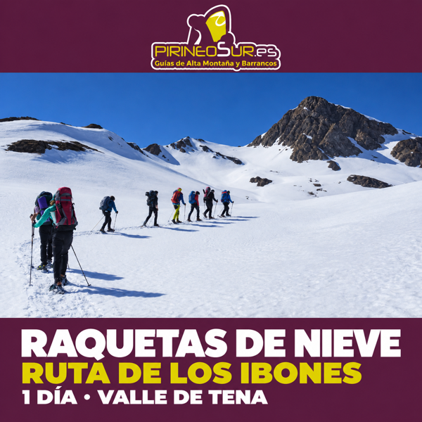 Randonnée en raquettes aux lacs de montagne — 1 journée