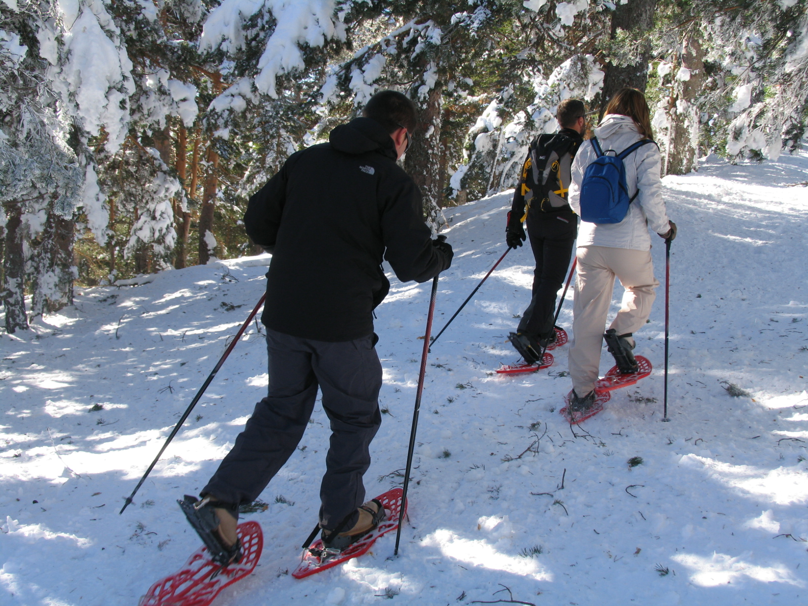 Array
(
    [id] => 3593
    [id_producto] => 528
    [imagen] => 528-3593-vacaciones-de-aventura-en-familia-con-ninos-invierno-3-dias-clon-528_527.JPG
    [orden] => 0
)
