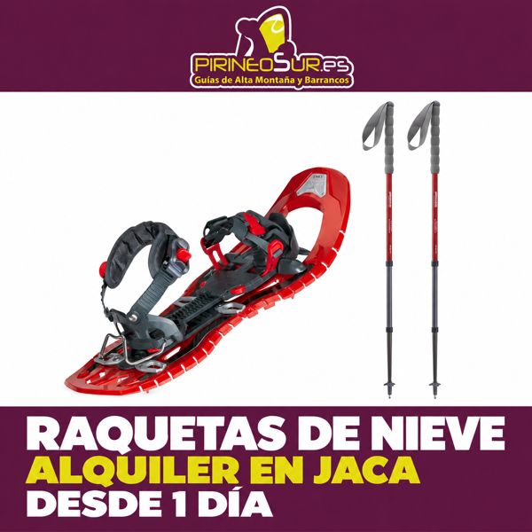 Location de raquettes à neige à Jaca