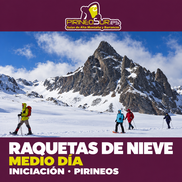 Randonnée en raquettes dans les Pyrénées — demi-journée