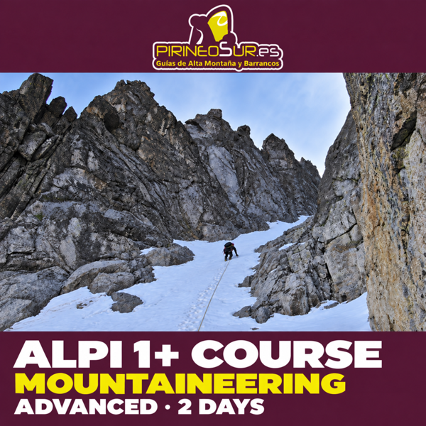 Advanced Mountaineering Course (ALPI 1+) — ADVANCED · 2 DAYS