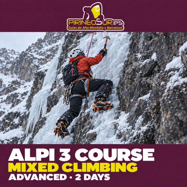 Illustration of a person mixed climbing on ice and exposed rock. Advanced Mountaineering and Mixed Climbing Course (ALPI 3) · 2 days.