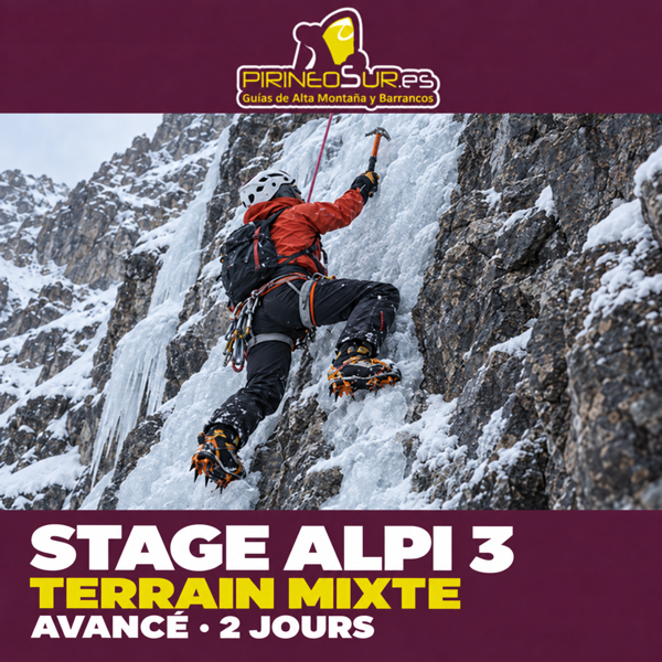 Illustration d’une personne progressant en escalade mixte sur de la glace et du rocher. Stage ALPI 3 · avancé · 2 jours.
