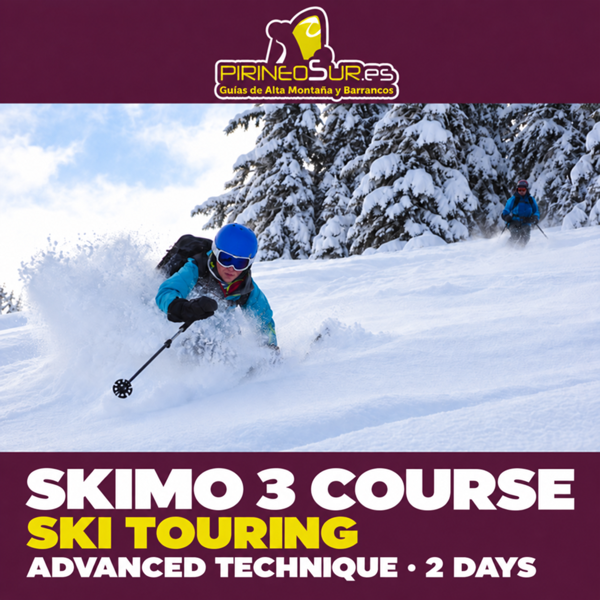 Advanced Ski Touring Course (SKIMO 3) — ADVANCED TECHNIQUE · 2 DAYS
